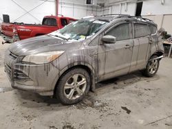 Ford salvage cars for sale: 2013 Ford Escape SE