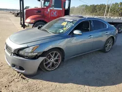 2011 Nissan Maxima S en venta en Greenwell Springs, LA