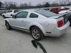 2005 Ford Mustang