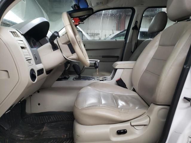 2008 Ford Escape XLT