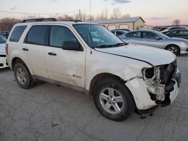 2009 Ford Escape Hybrid