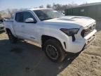 2024 Toyota Tacoma Double Cab