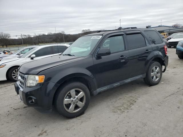 2011 Ford Escape Limited