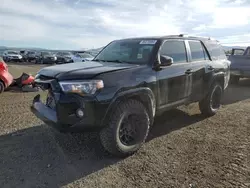 Salvage cars for sale at Helena, MT auction: 2022 Toyota 4runner SR5/SR5 Premium