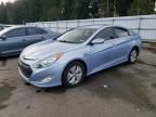 2013 Hyundai Sonata Hybrid