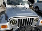 2005 Jeep Wrangler / TJ Rubicon