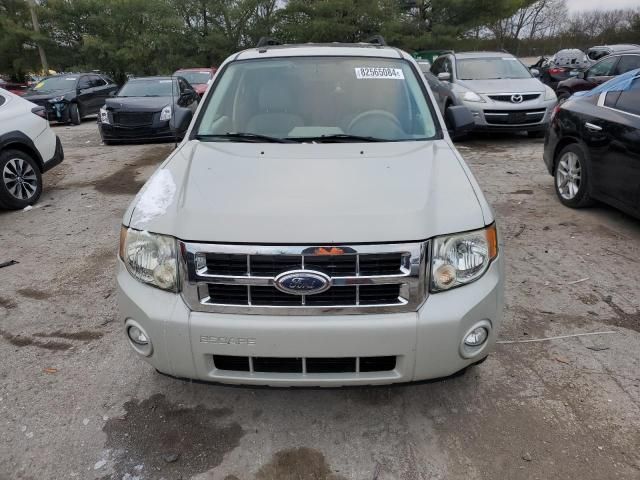 2008 Ford Escape XLT