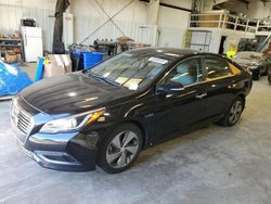 Salvage cars for sale at auction: 2016 Hyundai Sonata PLUG-IN Hybrid