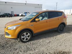 Salvage cars for sale at Farr West, UT auction: 2016 Ford Escape SE