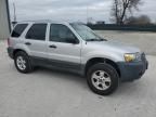 2005 Ford Escape XLT