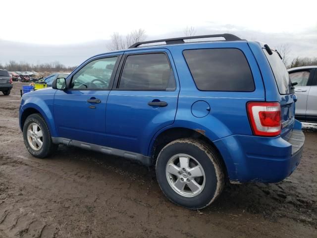 2012 Ford Escape XLT