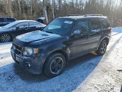 2012 Ford Escape XLT en venta en Cookstown, ON