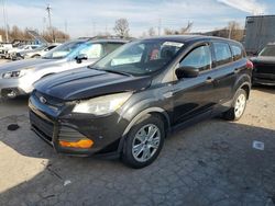 Salvage cars for sale at Bridgeton, MO auction: 2014 Ford Escape S