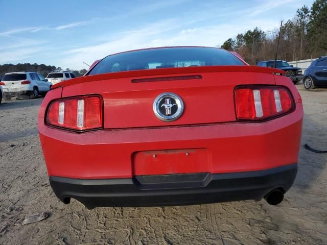 2010 Ford Mustang