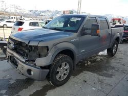 Salvage cars for sale at Farr West, UT auction: 2013 Ford F150 Supercrew