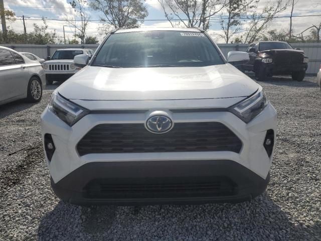 2023 Toyota Rav4 XLE Premium