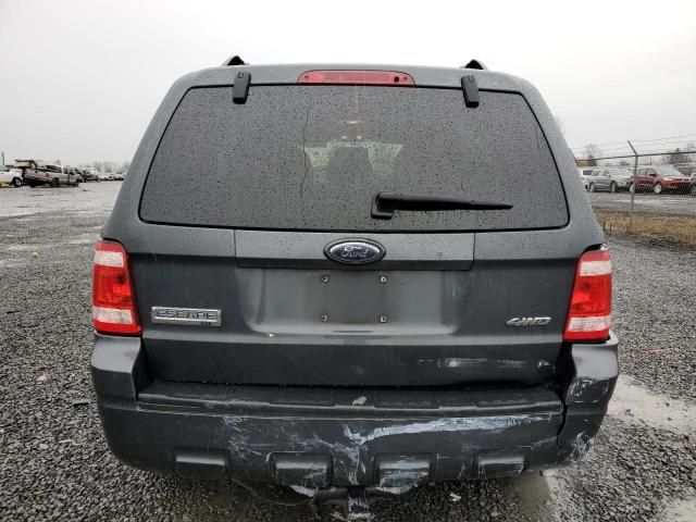 2009 Ford Escape XLT