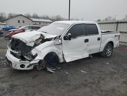 Salvage cars for sale at York Haven, PA auction: 2014 Ford F150 Supercrew