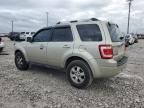 2010 Ford Escape Limited