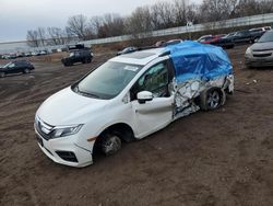 Salvage cars for sale at Davison, MI auction: 2019 Honda Odyssey EXL