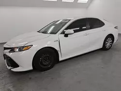 Salvage cars for sale from Copart Van Nuys, CA: 2018 Toyota Camry LE