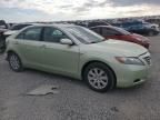 2007 Toyota Camry Hybrid