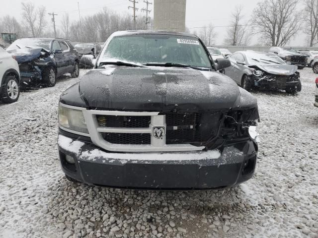 2011 Dodge Dakota SLT