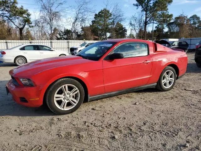 2010 Ford Mustang