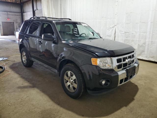 2011 Ford Escape Limited