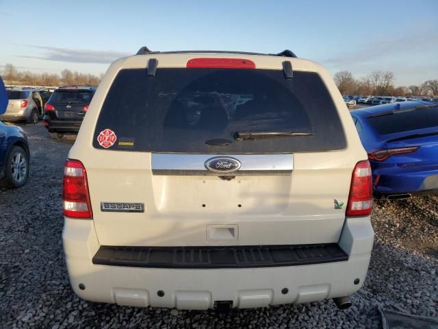 2011 Ford Escape Limited