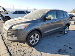 Ford Escape salvage cars for sale: 2013 Ford Escape SE