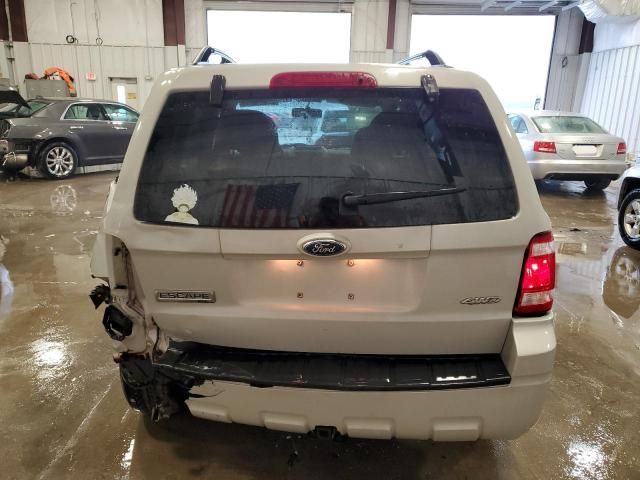 2008 Ford Escape XLT