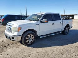 Salvage cars for sale at Temple, TX auction: 2012 Ford F150 Supercrew