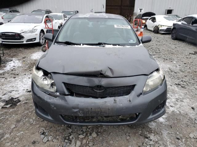 2010 Toyota Corolla Base