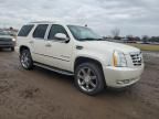 2007 Cadillac Escalade Luxury