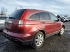 2007 Honda CR-V EX