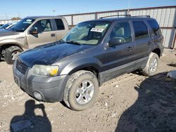 Ford Vehiculos salvage en venta: 2006 Ford Escape XLT