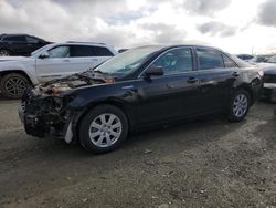 Salvage cars for sale at Antelope, CA auction: 2007 Toyota Camry Hybrid