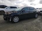 2007 Toyota Camry Hybrid