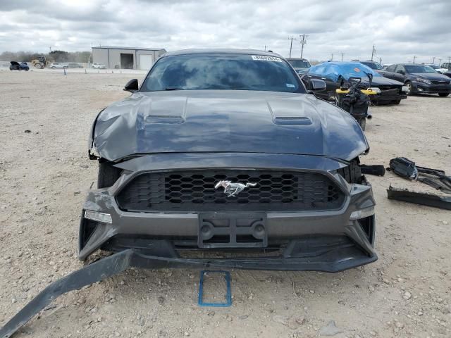 2019 Ford Mustang