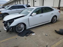 Salvage cars for sale at Louisville, KY auction: 2014 Hyundai Equus Signature