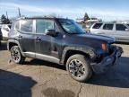 2017 Jeep Renegade Trailhawk