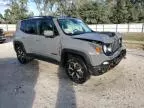 2020 Jeep Renegade Trailhawk