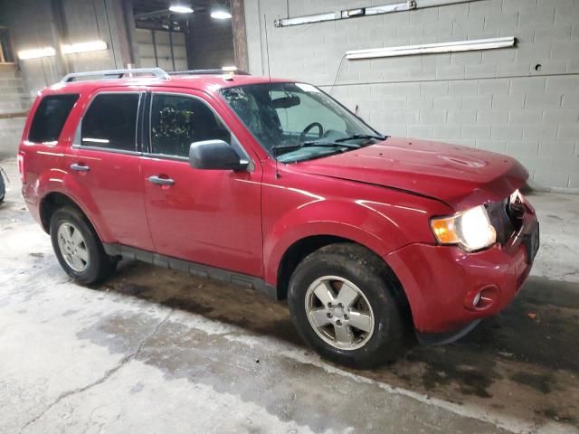 2011 Ford Escape XLT