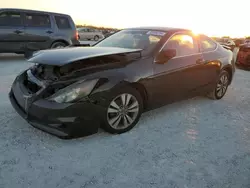 Honda Accord exl salvage cars for sale: 2010 Honda Accord EXL