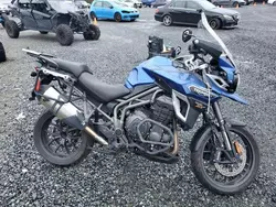 Salvage motorcycles for sale at Arlington, WA auction: 2017 Triumph Explorer XRT