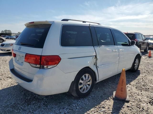 2010 Honda Odyssey EXL