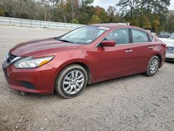 2016 Nissan Altima 2.5 en venta en Greenwell Springs, LA