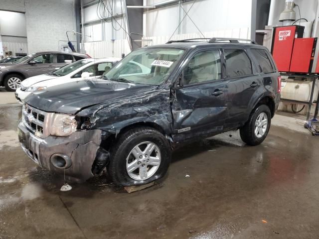 2008 Ford Escape HEV