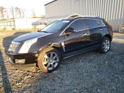 Cadillac salvage cars for sale: 2011 Cadillac SRX Performance Collection